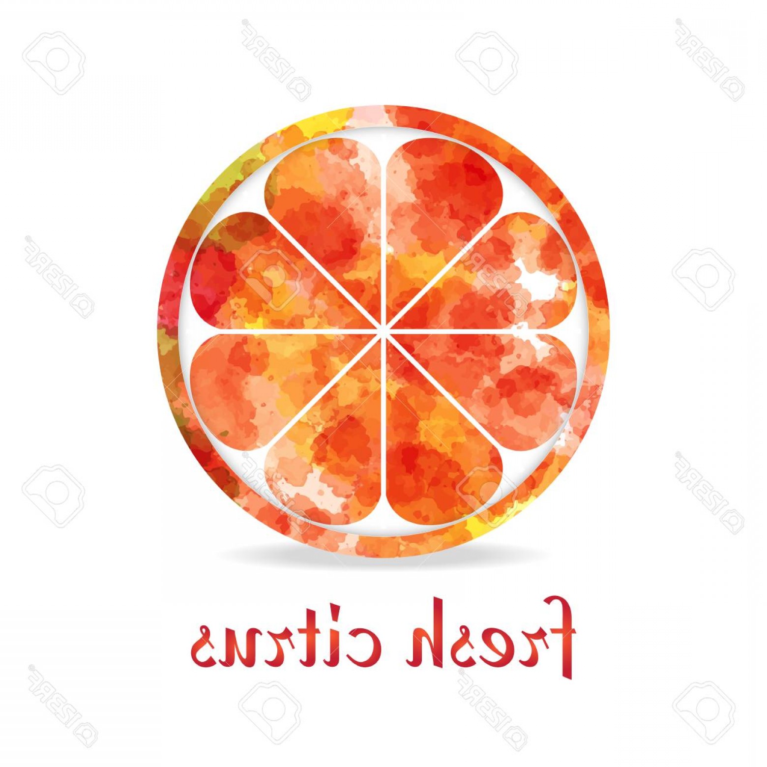 1560x1560 Photostock Vector Watercolor Yellow Orange Fruit Icon Isolated