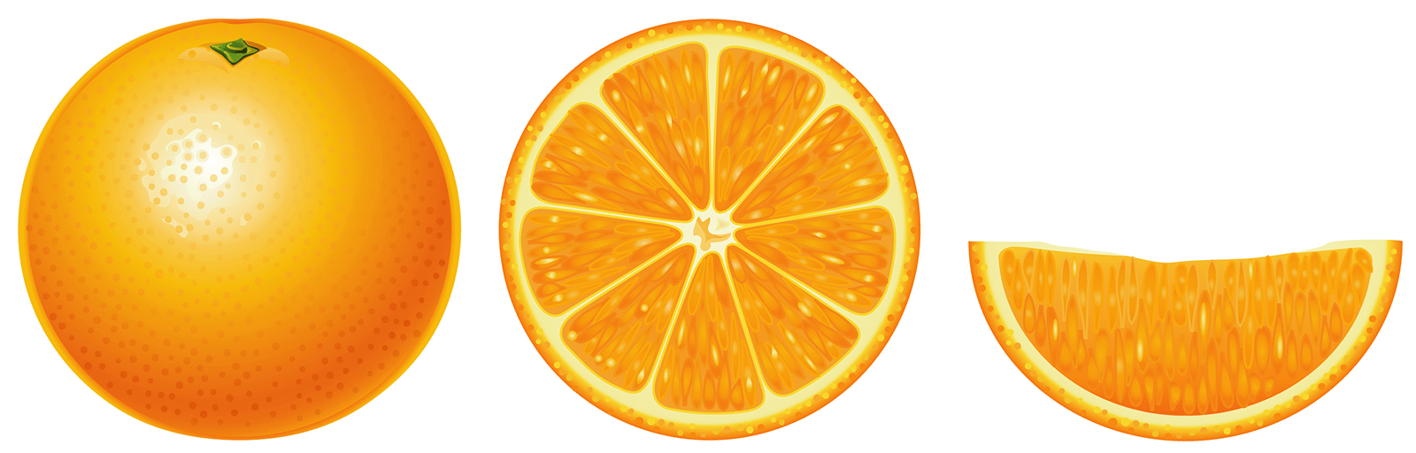 1600x512 The Story Of The 'orange' Icon Our Florida Marketing Agency