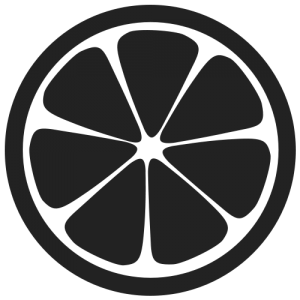 300x300 Download Sliced Orange Icon