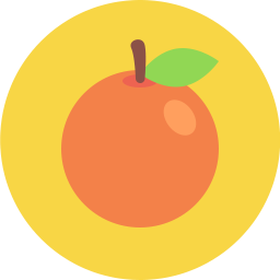 256x256 Orange Icon Flat