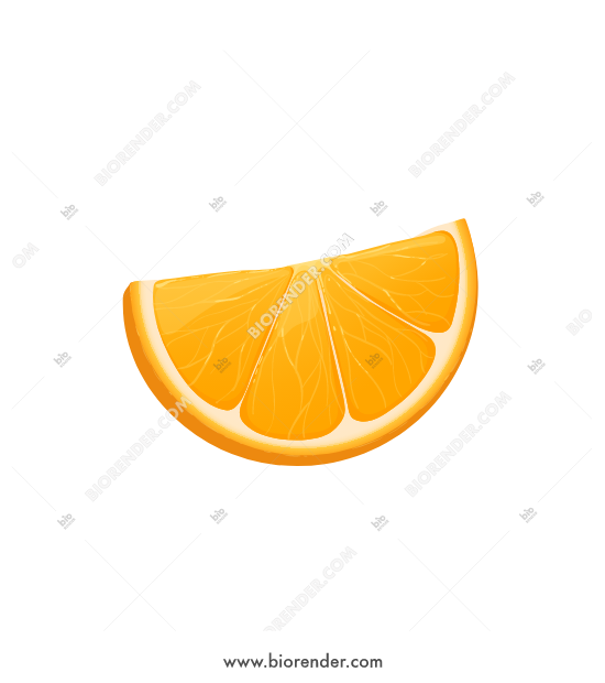 550x620 Biorender Orange