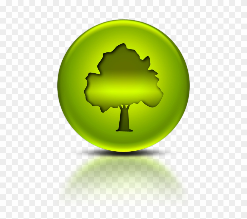 840x744 Green Metallic Orb Icon Natural Wonders