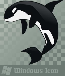 256x300 Orca