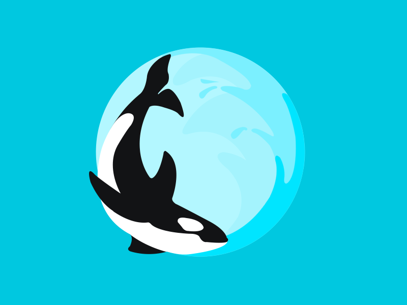 800x600 Orca App Icon