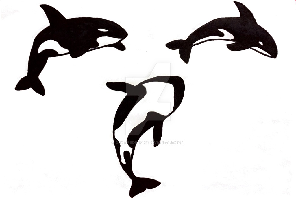 1024x684 Orca Icon