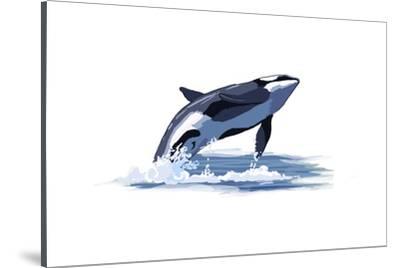 400x268 Orca Whale