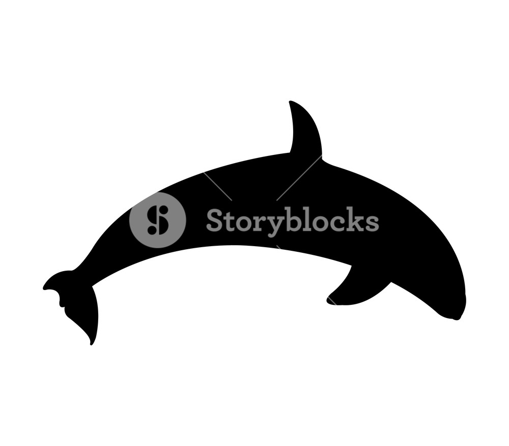 1000x875 Orca Icon On White Background Royalty Free Stock Image