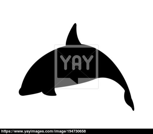 512x448 Orca Icon Vector