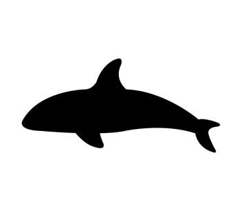 350x306 Image Details Iss