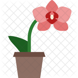256x256 Orchid Icon Of Flat Style