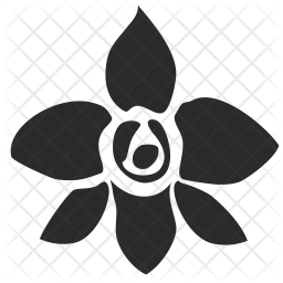 256x256 Orchid Icon Of Glyph Style