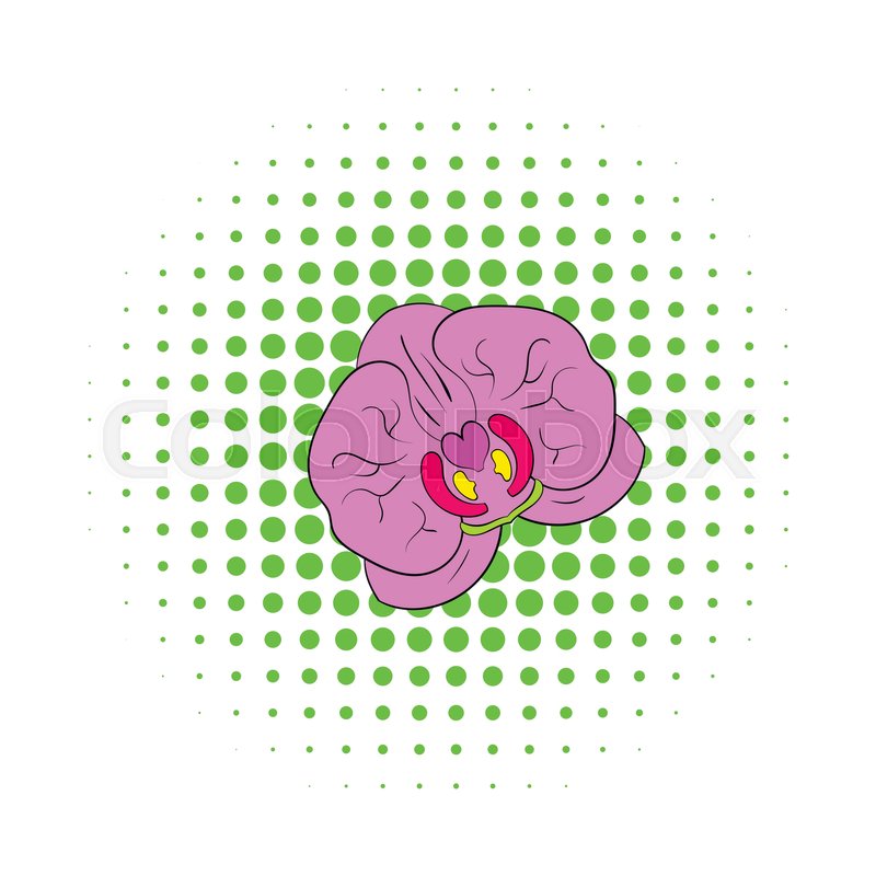 800x800 Orchid Flower Icon In Comics Style Stock Vector Colourbox