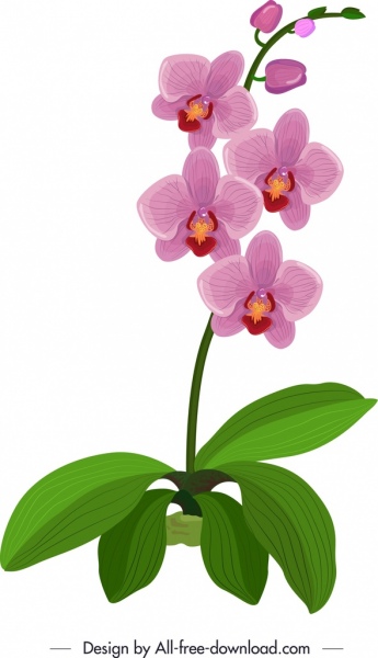 345x600 Orchid Icon Green Violet Sketch Free Vector In Adobe Illustrator