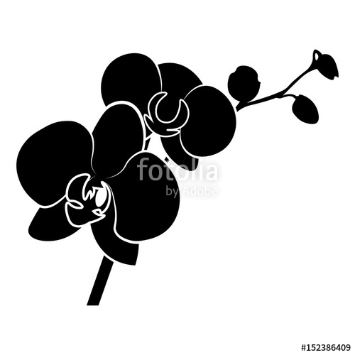 500x500 Orchid Vector Icon Stock Image And Royalty Free Vector