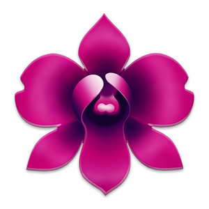 300x300 Orchids Orchid Theme Wallpaper Apk