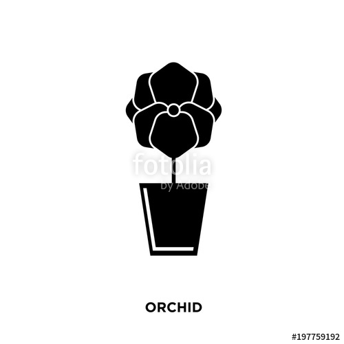 500x500 Orchid Icon Isolated On White Background For Your Web, Mobile