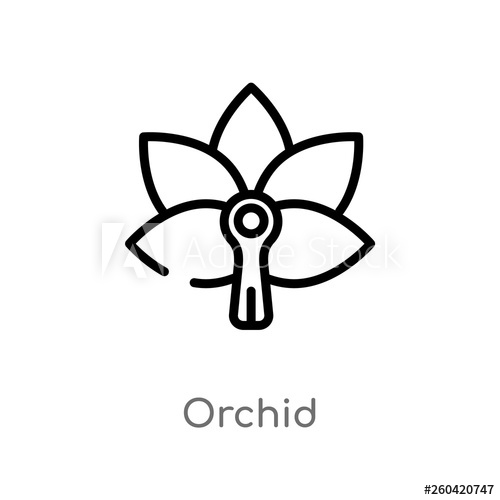 500x500 Outline Orchid Vector Icon Isolated Black Simple Line Element