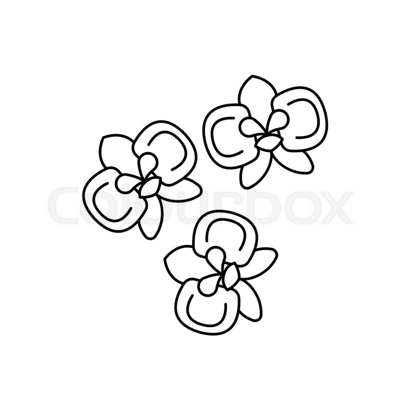 800x800 Moon Orchid Icon Outline Moon Orchid Stock Vector Colourbox