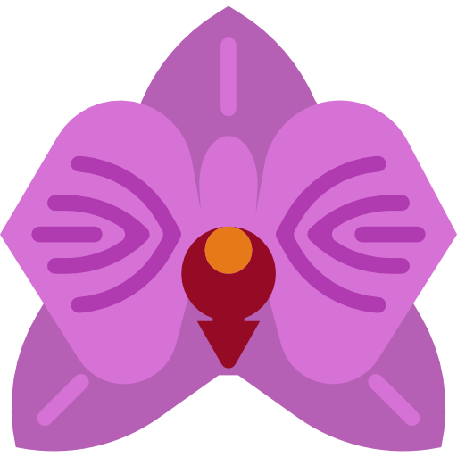 512x512 Orchid