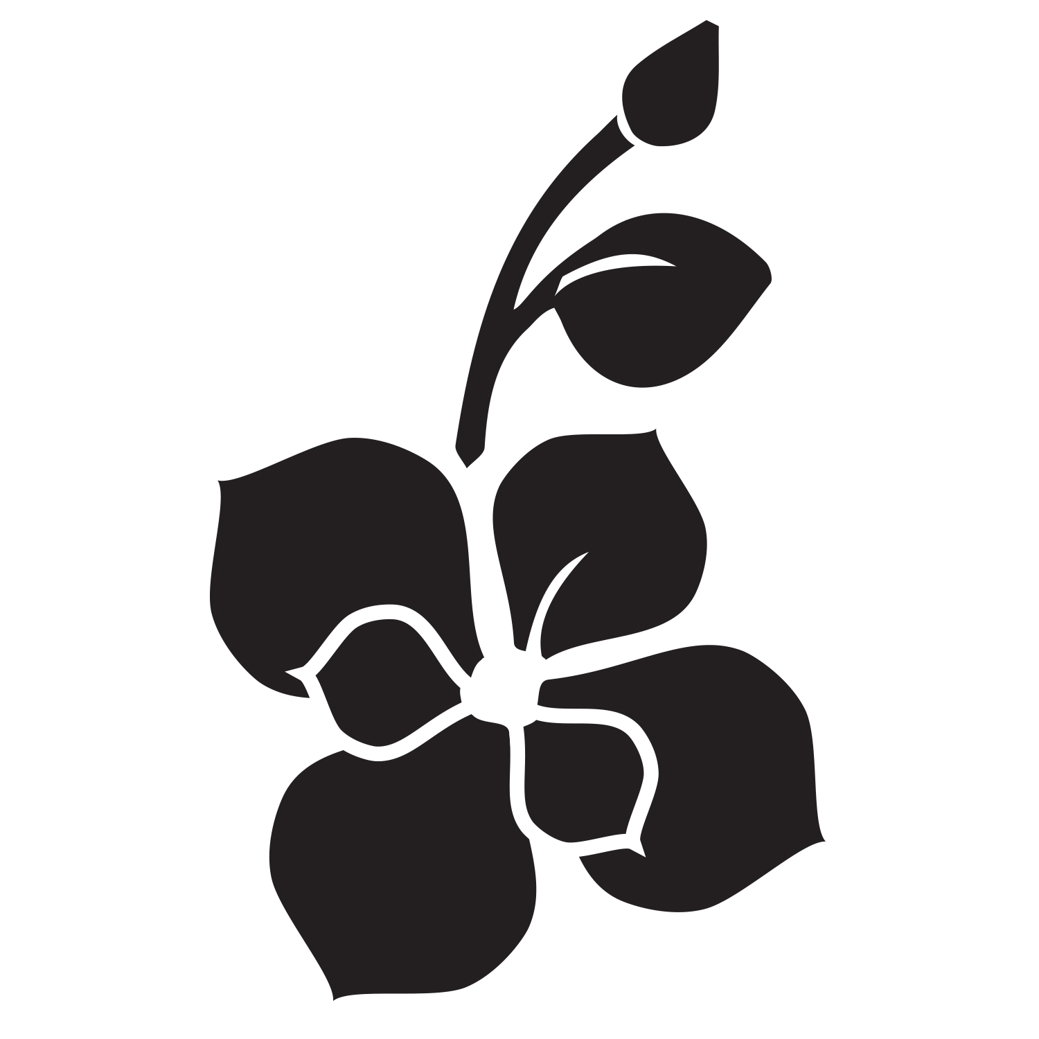 1500x1500 Orchid Icon