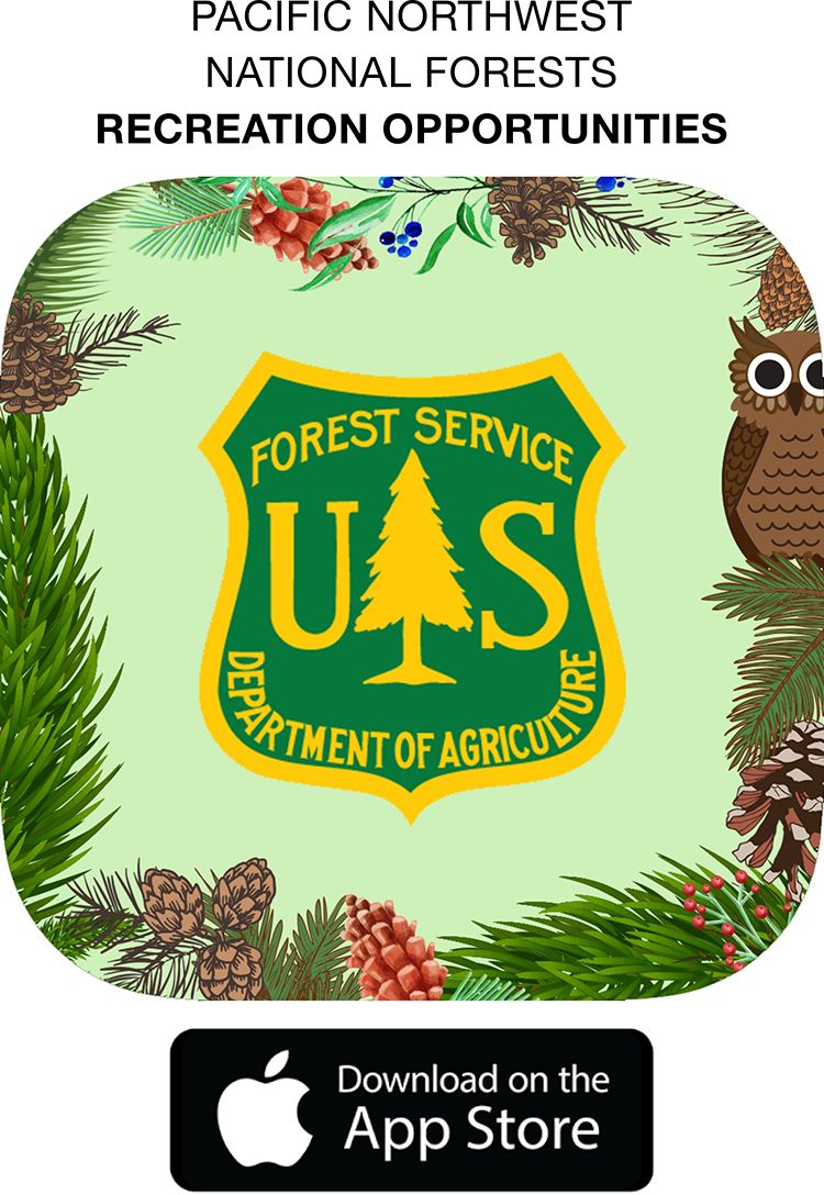 750x1088 App Icon Visual Hike And Outdoor Us Forest Service, Forest