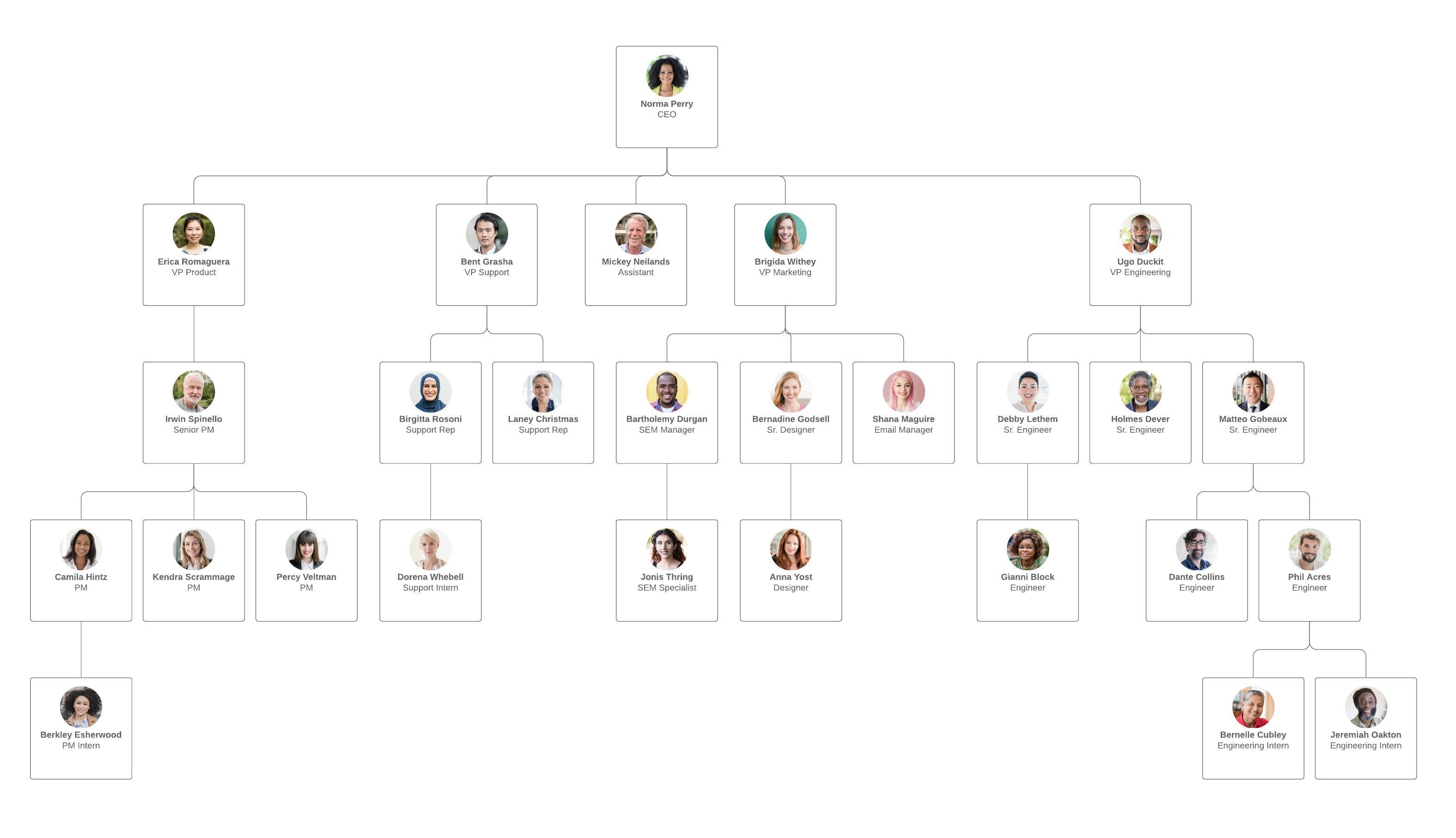 3149x1812 Organizational Chart Maker Lucidchart