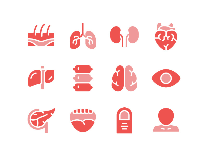 800x600 Human Organs Icon Set
