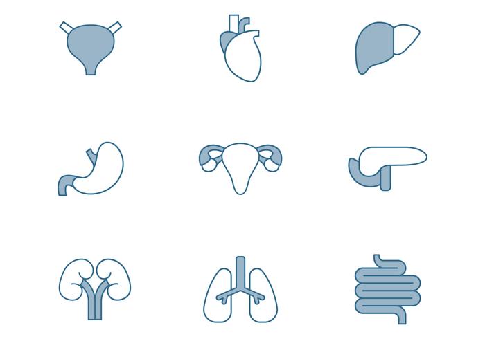700x490 Human Organs Icons