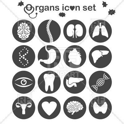 400x400 Human Organs And Parts Icon