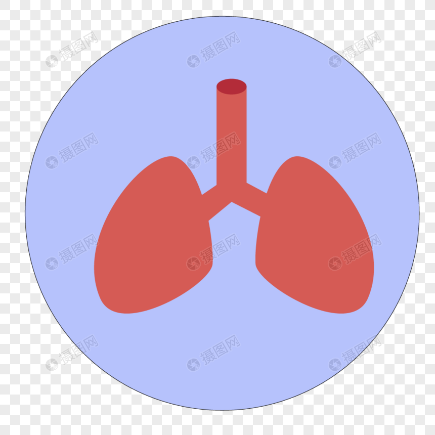 860x860 Liver And Lung Organ Icon Png Image Picture Free Download
