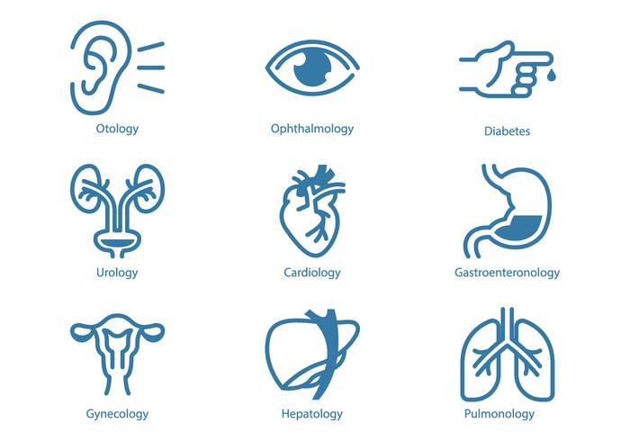 700x490 Urology And Internal Organ Icon