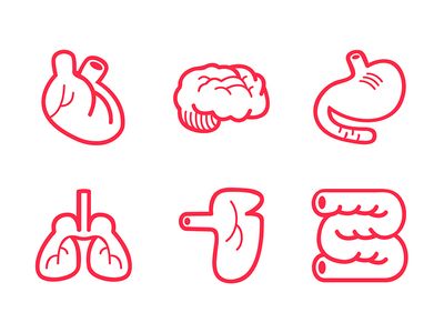 400x300 Organ Icon Organ Human Icon, Icon Design, Medical Design