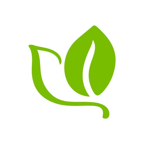 490x490 Logo Of Green Leaf Of Tea Ecology Nature Element Vector Icon