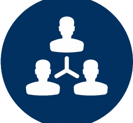 270x250 Org Chart Icon