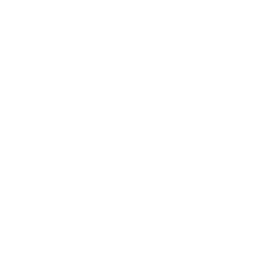 500x500 Braces Line Icon