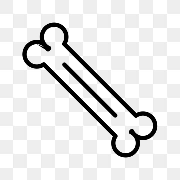 360x360 Orthopedic Icon Png Images Vector And Free Download