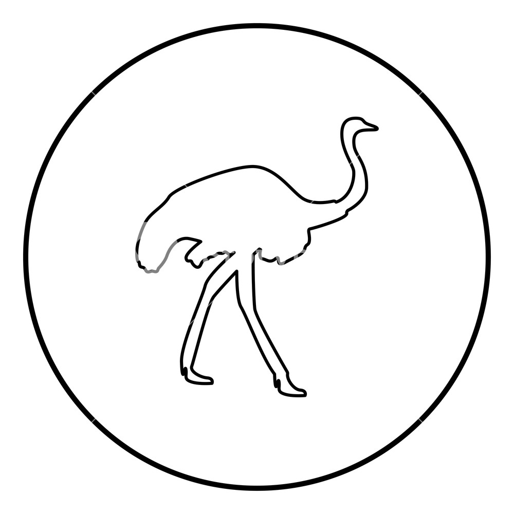 1000x1000 Ostrich Icon Black Color In Circle Round Outline Royalty Free