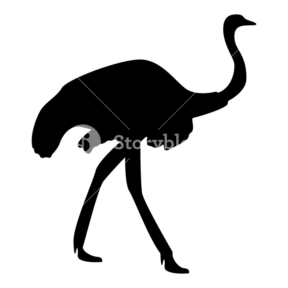 1000x1000 Ostrich Icon Black Color Vector Illustration Flat Style Simple