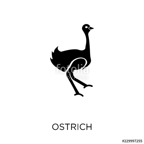 500x500 Ostrich Icon Ostrich Symbol Design From Animals Collection