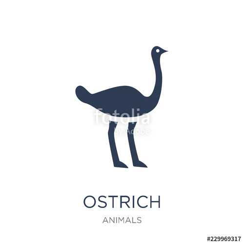500x500 Ostrich Icon Trendy Flat Vector Ostrich Icon On White Background
