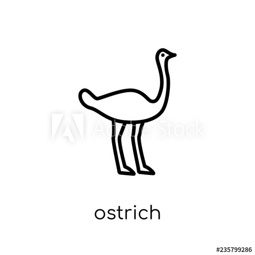 500x500 Ostrich Icon Trendy Modern Flat Linear Vector Ostrich Icon