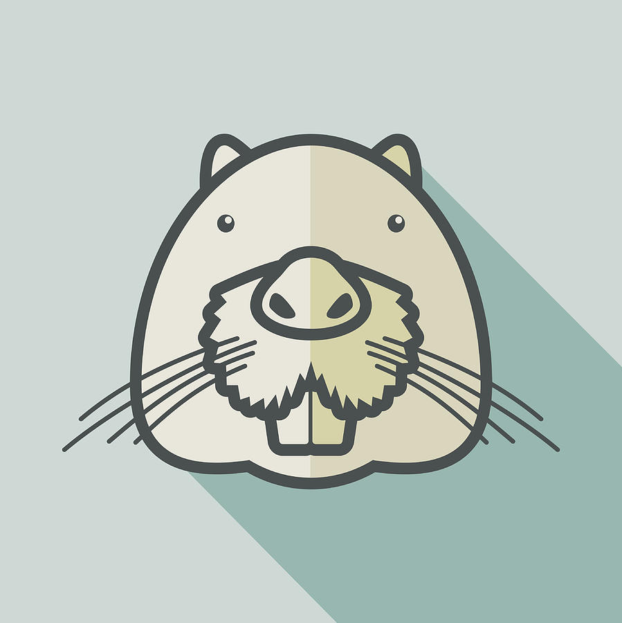 899x900 Otter Beaver Flat Icon Animal Head Vector Drawing