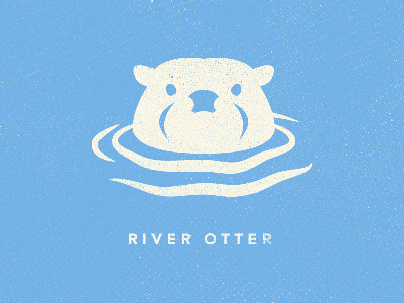 800x600 Otter Icon
