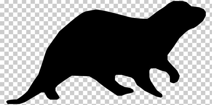 728x362 Whiskers Sea Otter North American River Otter Computer Icons Png