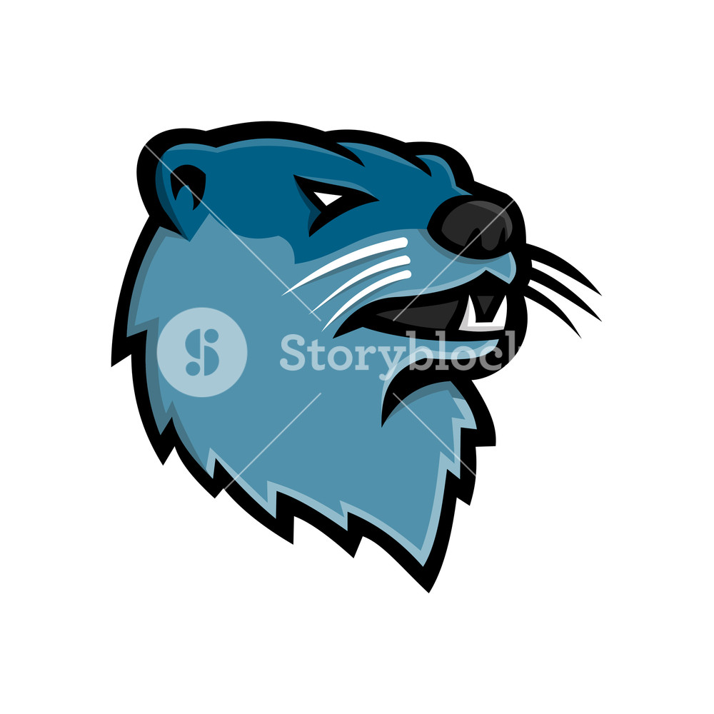 1000x1000 Mascot Icon Illustration Of Head Of A North American River Otter