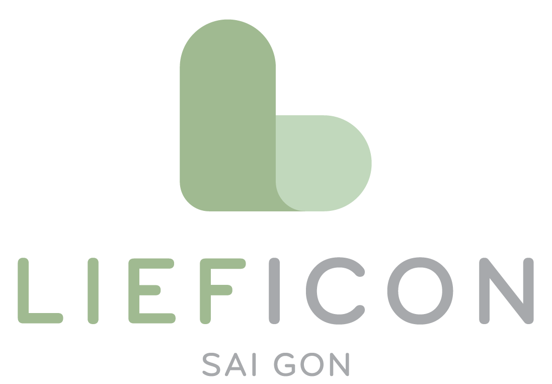 1097x763 Our Services Lief Icon Sai Gon