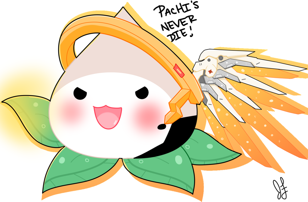 1024x672 Pachimari Mercy