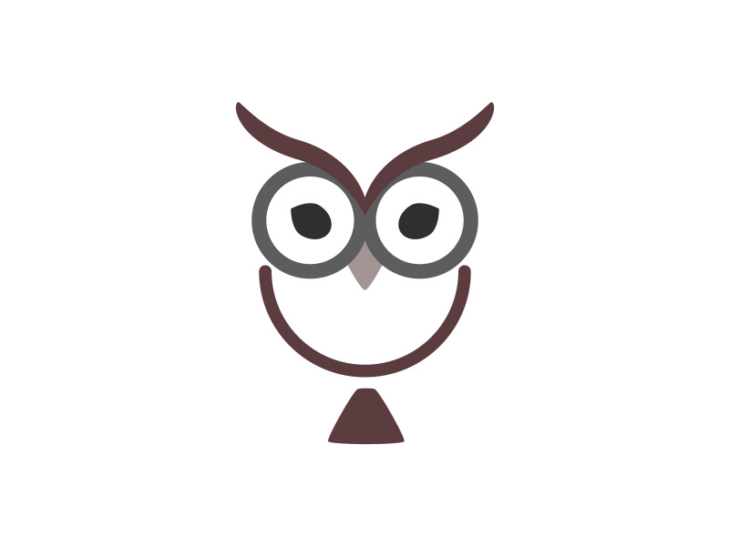 800x600 Owl Icon
