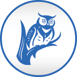 250x250 Blue Owl Icon