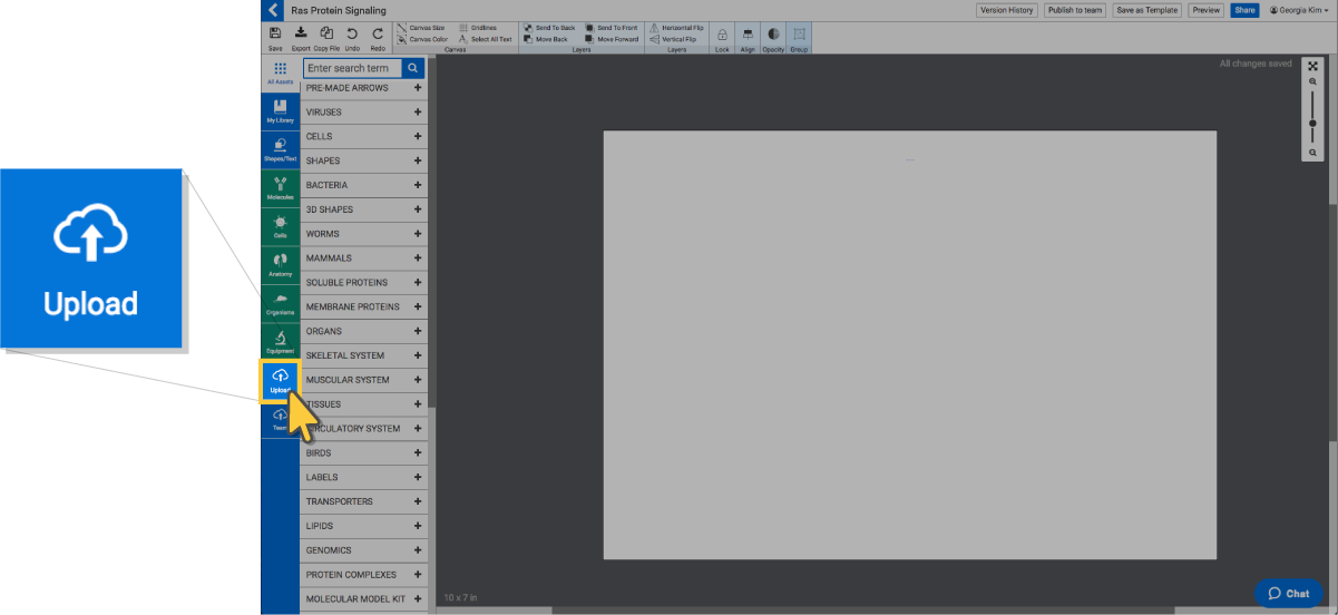 1201x552 Uploading Your Own Icon Biorender Support